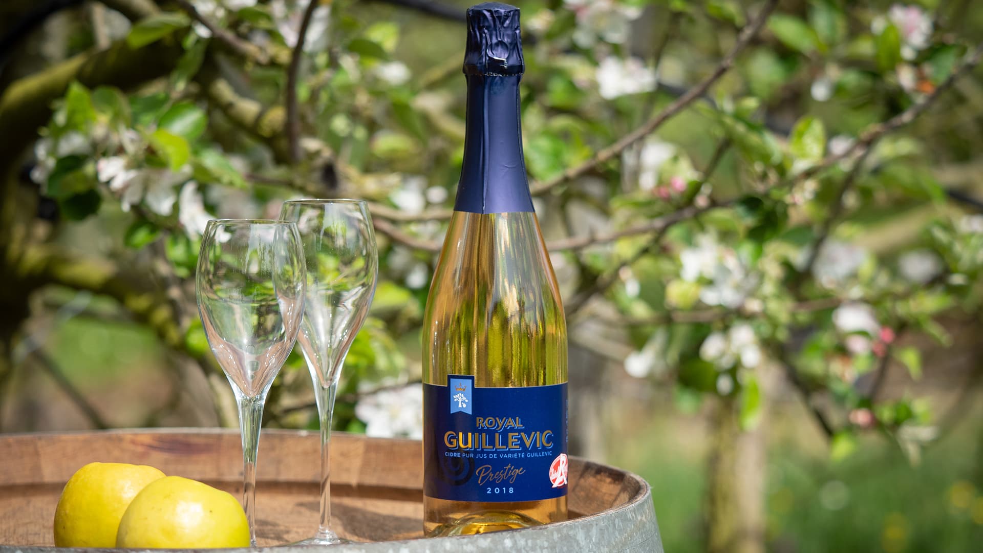 Royal Guillevic et fruits de mer : l'accord parfait venu du Morbihan